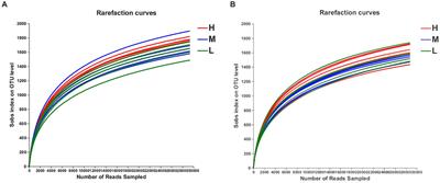 Effects of dietary energy level on antioxidant capability, immune function and rectal microbiota in late gestation donkeys